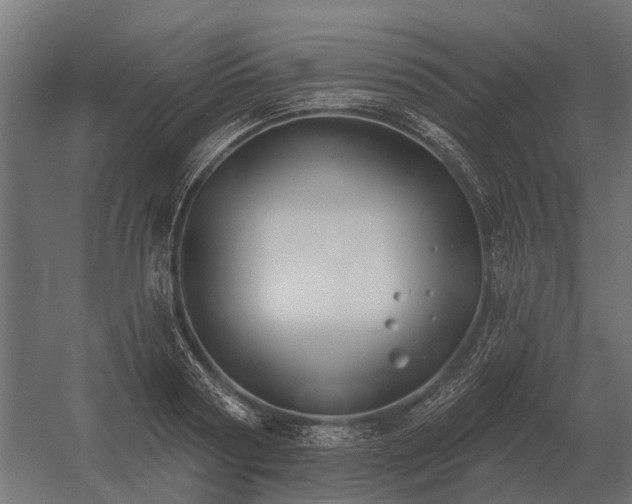 X0000052940794200507300017