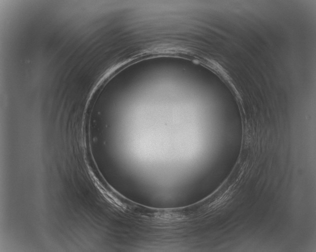 X0000052940795200507300017