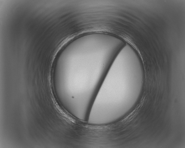 X0000052940797200507300017