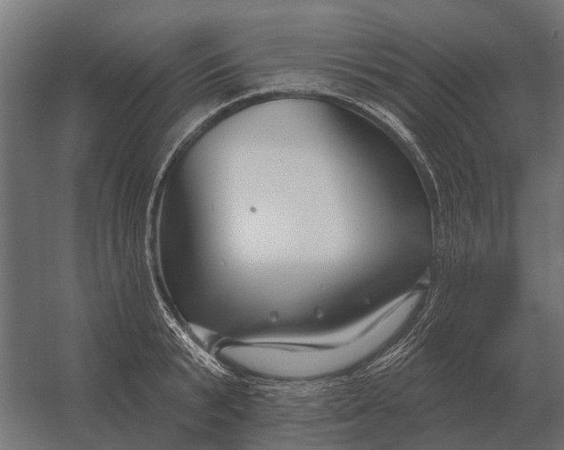 X0000052940799200507300017