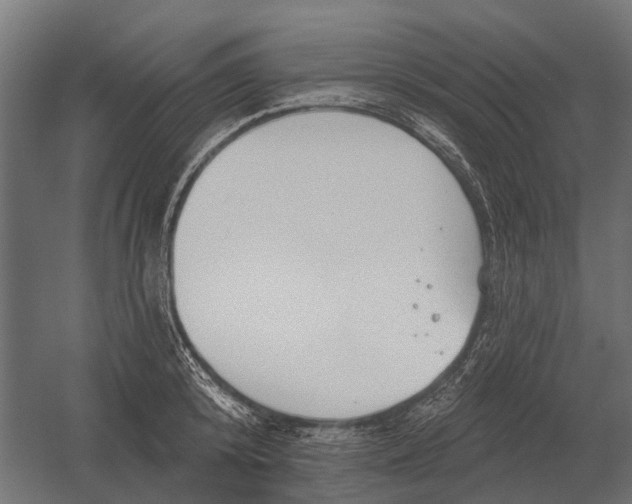 X0000052940800200507300017