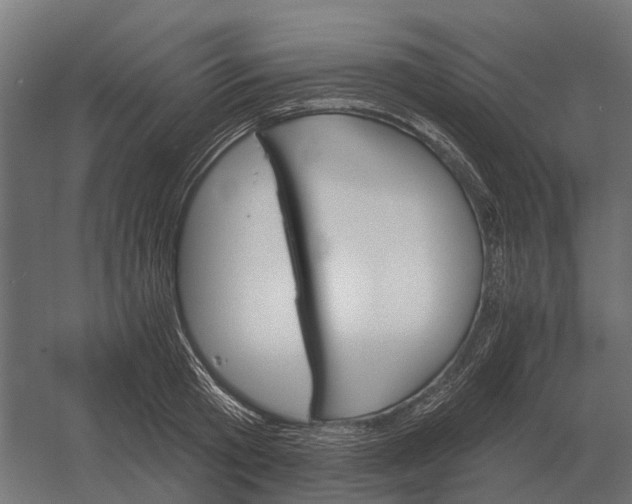 X0000052940801200507300017