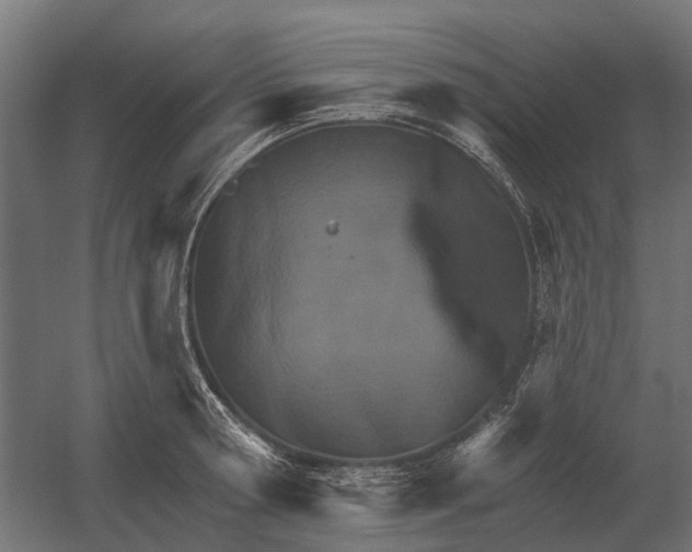 X0000052940802200507300017