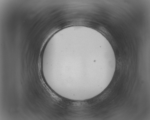 X0000052940804200507300017