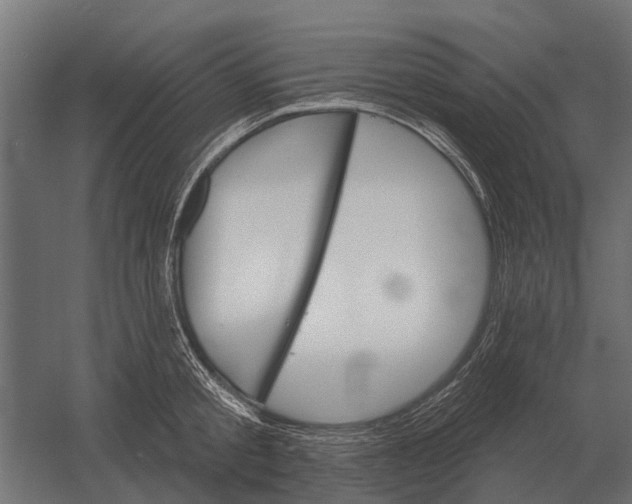 X0000052940805200507300017