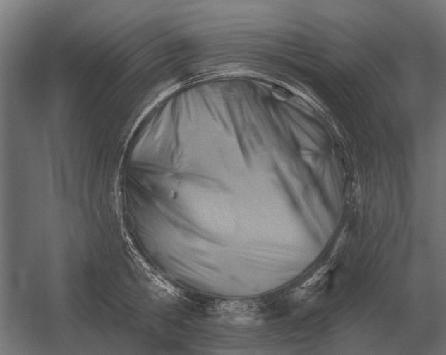 X0000052940806200507300017