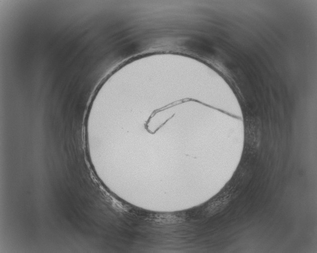 X0000052940807200507300017