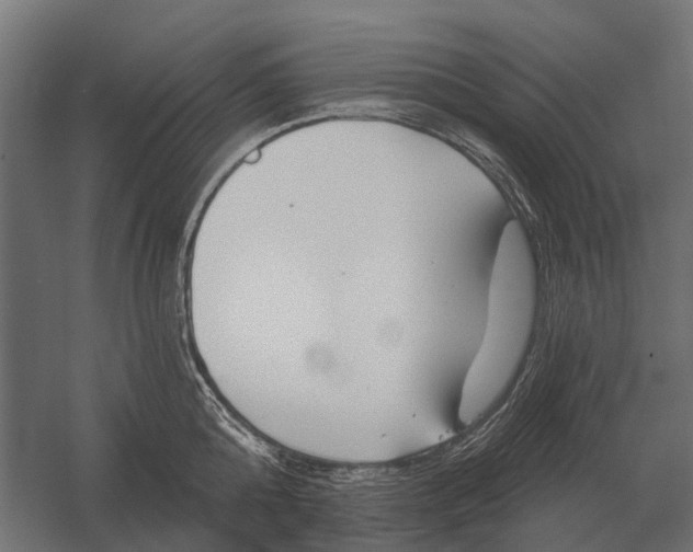 X0000052940808200507300017