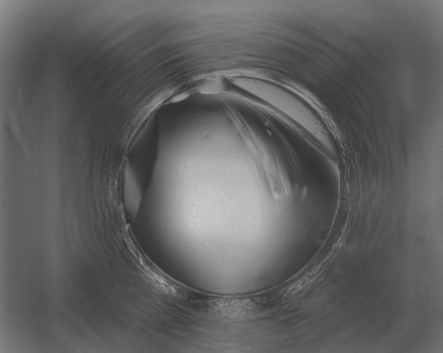 X0000052940809200507300017