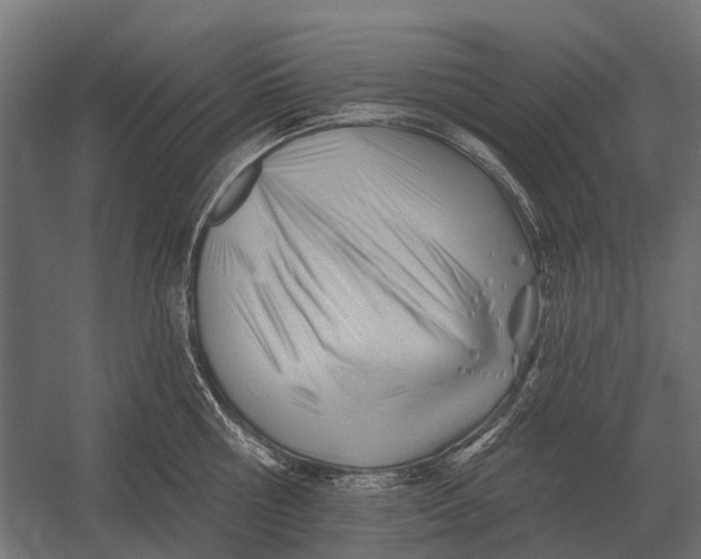 X0000052940810200507300017