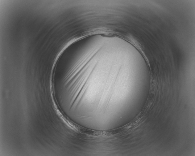 X0000052940811200507300017