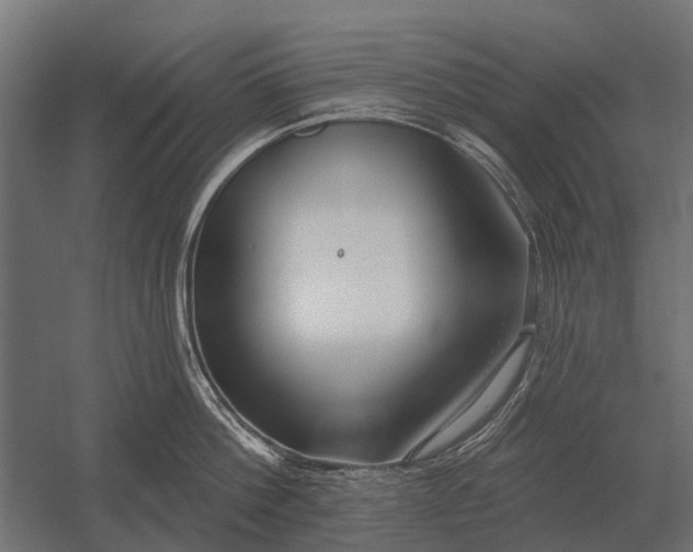 X0000052940812200507300016