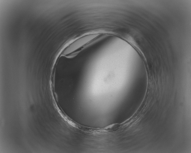 X0000052940813200507300016