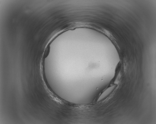 X0000052940814200507300016