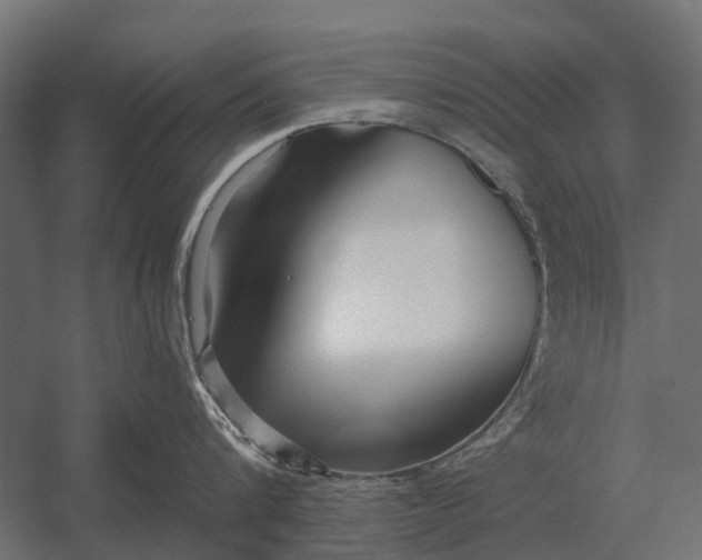 X0000052940816200507300016