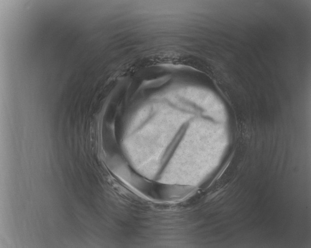 X0000052940818200507300016