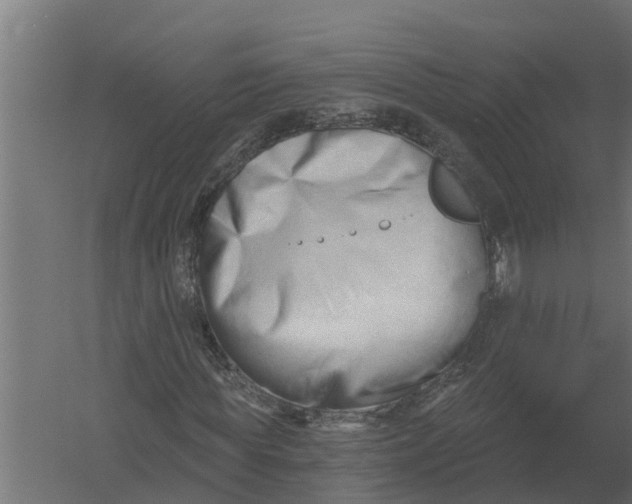 X0000052940819200507300016