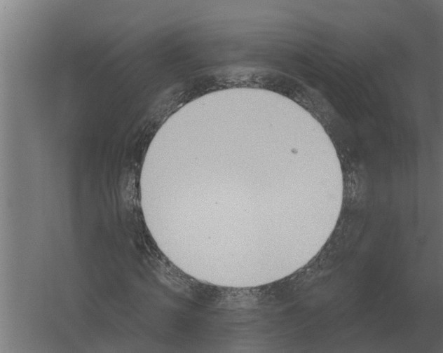 X0000052940820200507300016