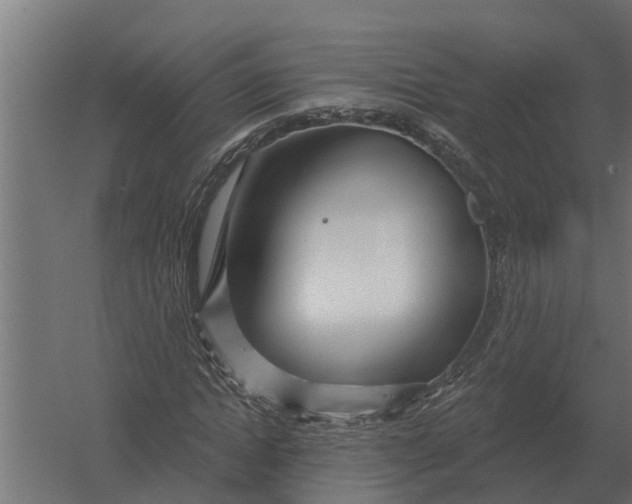 X0000052940822200507300016