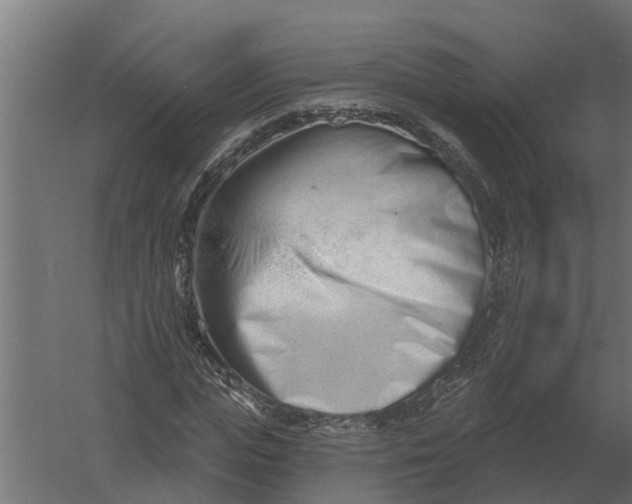 X0000052940823200507300016