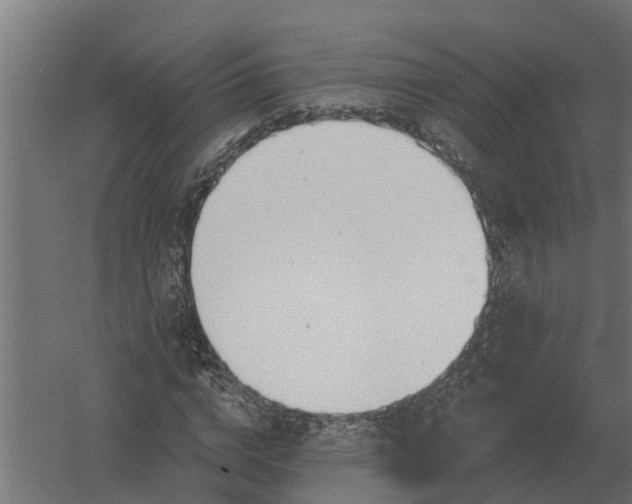 X0000052940824200507300016