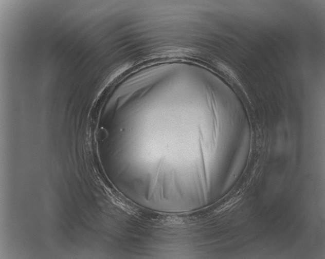 X0000052940827200507300016