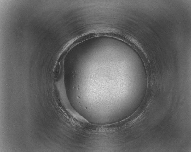 X0000052940829200507300016