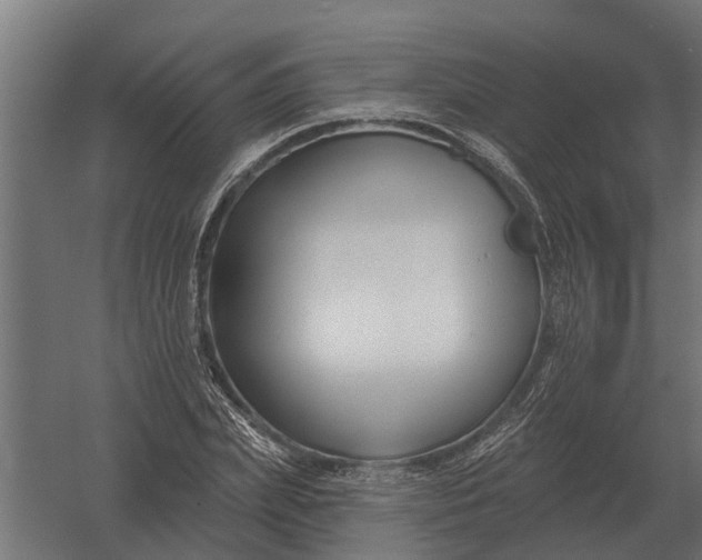 X0000052940831200507300016