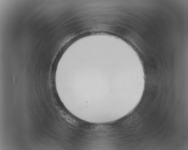 X0000052940832200507300016