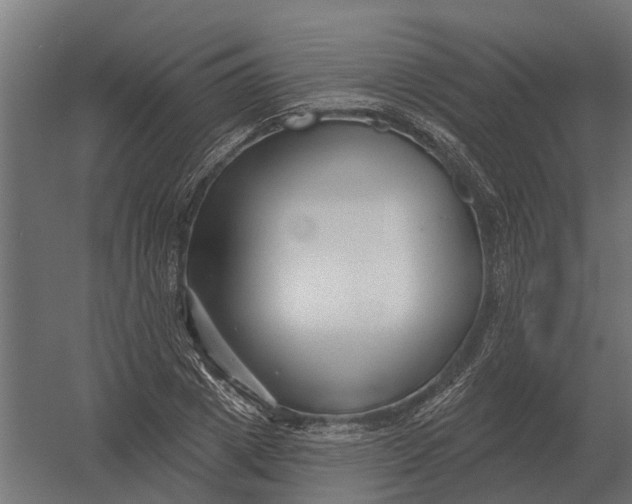 X0000052940833200507300016