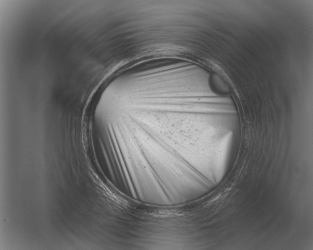 X0000052940835200507300016