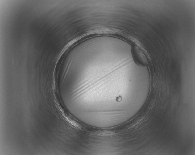 X0000052940837200507300016