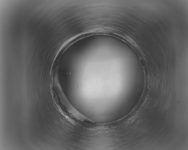 X0000052940838200507300016