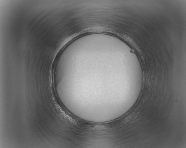 X0000052940839200507300016