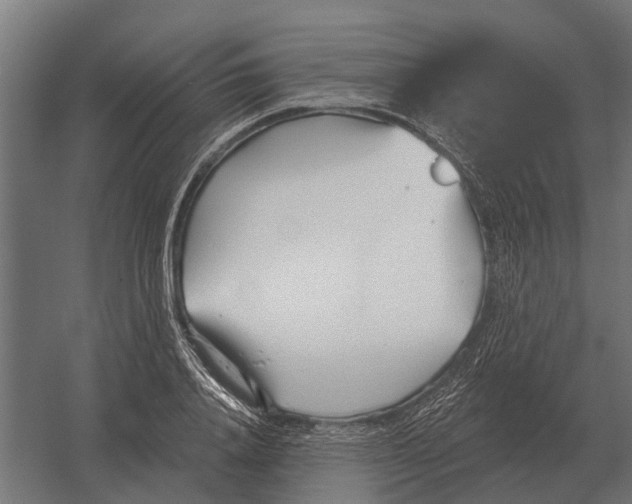 X0000052940840200507300016