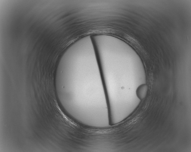 X0000052940841200507300016