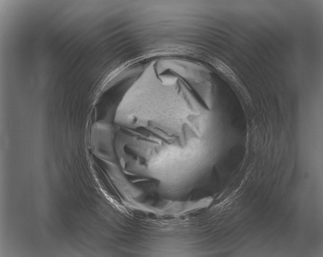 X0000052940842200507300016