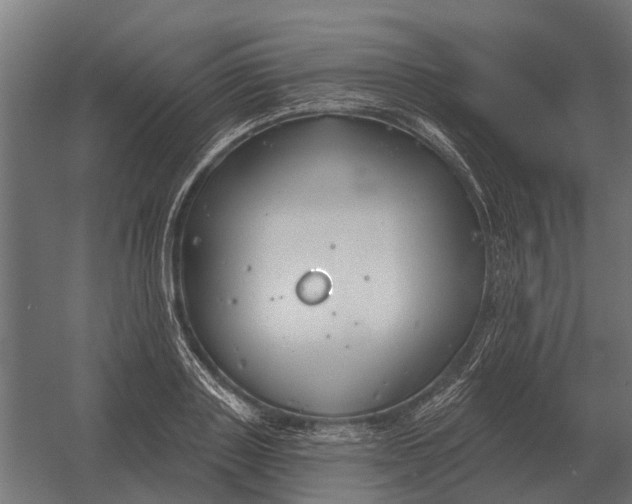 X0000052940843200507300016