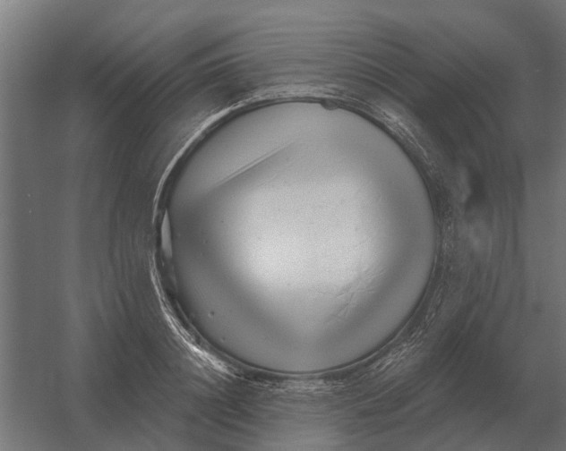 X0000052940844200507300016