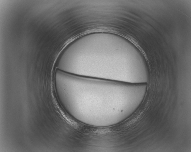 X0000052940845200507300016