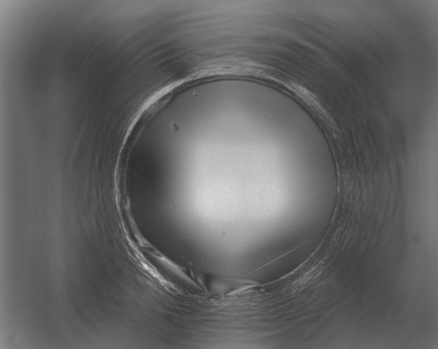 X0000052940846200507300016