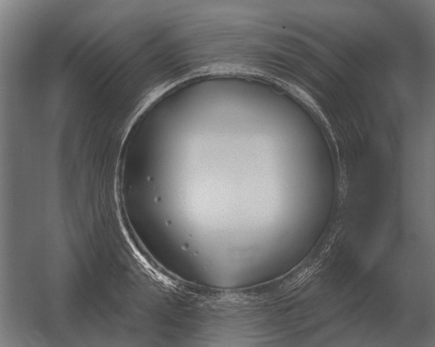 X0000052940847200507300016