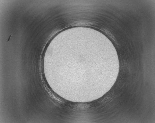 X0000052940848200507300016