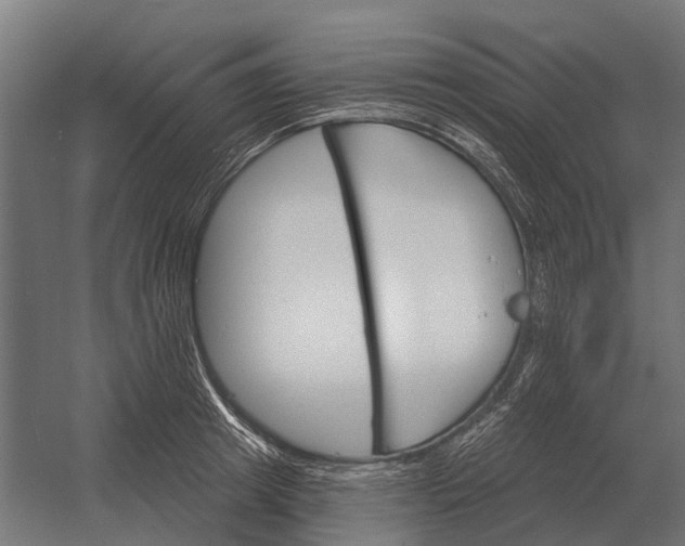 X0000052940849200507300016