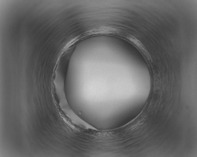 X0000052940850200507300016