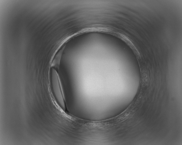 X0000052940852200507300016