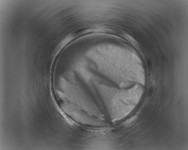 X0000052940853200507300016