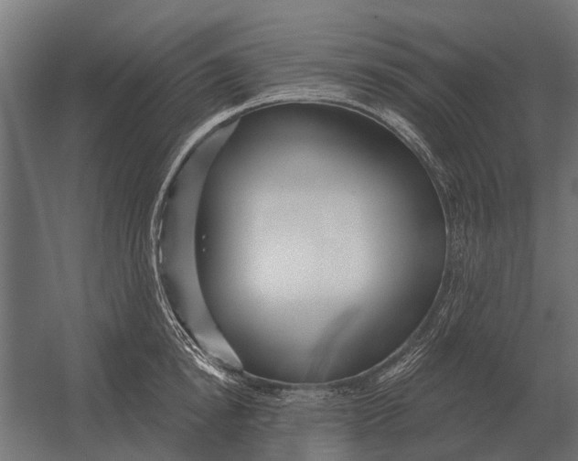 X0000052940854200507300016