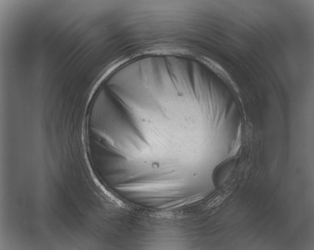 X0000052940855200507300016