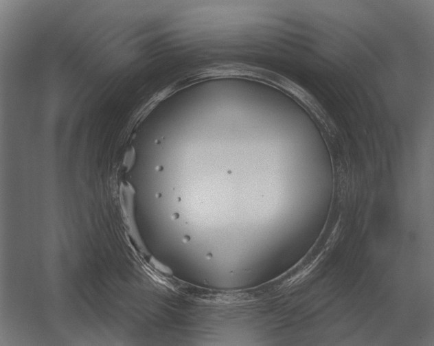 X0000052940857200507300016